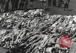 Image camp de concentration Mauthausen Autriche, 1945, de la seconde 58 séquences d'archives historiques vidéo 65675066604