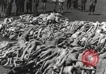 Image camp de concentration Mauthausen Autriche, 1945, de la seconde 59 séquences d'archives historiques vidéo 65675066604