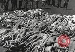 Image camp de concentration Mauthausen Autriche, 1945, de la seconde 60 séquences d'archives historiques vidéo 65675066604