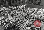 Image camp de concentration Mauthausen Autriche, 1945, de la seconde 61 séquences d'archives historiques vidéo 65675066604