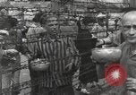 Image camp de concentration Mauthausen Autriche, 1945, de la seconde 13 séquences d'archives historiques vidéo 65675066605