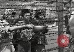 Image camp de concentration Mauthausen Autriche, 1945, de la seconde 19 séquences d'archives historiques vidéo 65675066605