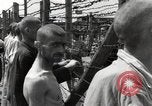 Image camp de concentration Mauthausen Autriche, 1945, de la seconde 42 séquences d'archives historiques vidéo 65675066605