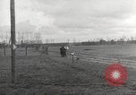 Image of Soviet Lieutenant Germany, 1945, second 61 stock footage video 65675066606