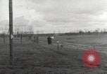 Image of Soviet Lieutenant Germany, 1945, second 62 stock footage video 65675066606