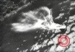 Image of Edvard Benes Prague Czechoslovakia, 1945, second 55 stock footage video 65675066611