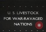 Image of livestock United States USA, 1945, second 1 stock footage video 65675066612