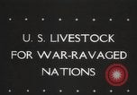 Image of livestock United States USA, 1945, second 3 stock footage video 65675066612