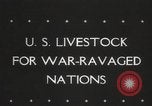 Image of livestock United States USA, 1945, second 4 stock footage video 65675066612