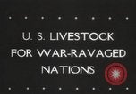Image of livestock United States USA, 1945, second 5 stock footage video 65675066612