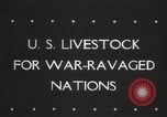 Image of livestock United States USA, 1945, second 6 stock footage video 65675066612