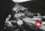 Image of livestock United States USA, 1945, second 7 stock footage video 65675066612