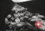 Image of livestock United States USA, 1945, second 10 stock footage video 65675066612