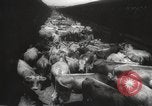Image of livestock United States USA, 1945, second 11 stock footage video 65675066612