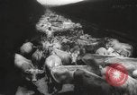 Image of livestock United States USA, 1945, second 12 stock footage video 65675066612