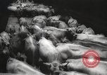 Image of livestock United States USA, 1945, second 20 stock footage video 65675066612