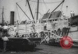 Image of livestock United States USA, 1945, second 24 stock footage video 65675066612