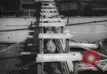 Image of livestock United States USA, 1945, second 27 stock footage video 65675066612