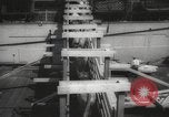 Image of livestock United States USA, 1945, second 28 stock footage video 65675066612