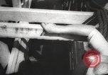Image of livestock United States USA, 1945, second 30 stock footage video 65675066612