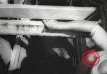 Image of livestock United States USA, 1945, second 31 stock footage video 65675066612