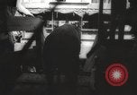 Image of livestock United States USA, 1945, second 38 stock footage video 65675066612