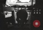 Image of livestock United States USA, 1945, second 39 stock footage video 65675066612