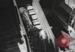 Image of livestock United States USA, 1945, second 45 stock footage video 65675066612