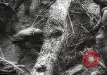 Image of Japanese prisoners Pacific Theater, 1945, second 26 stock footage video 65675066616