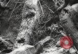 Image of Japanese prisoners Pacific Theater, 1945, second 27 stock footage video 65675066616