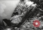 Image of Japanese prisoners Pacific Theater, 1945, second 29 stock footage video 65675066616