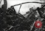Image of Japanese prisoners Pacific Theater, 1945, second 32 stock footage video 65675066616