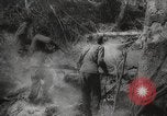 Image of Japanese prisoners Pacific Theater, 1945, second 35 stock footage video 65675066616