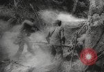 Image of Japanese prisoners Pacific Theater, 1945, second 37 stock footage video 65675066616