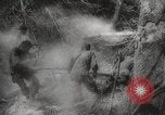Image of Japanese prisoners Pacific Theater, 1945, second 38 stock footage video 65675066616
