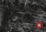 Image of Japanese prisoners Pacific Theater, 1945, second 40 stock footage video 65675066616