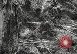 Image of Japanese prisoners Pacific Theater, 1945, second 41 stock footage video 65675066616