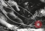 Image of Japanese prisoners Pacific Theater, 1945, second 43 stock footage video 65675066616