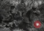 Image of Japanese prisoners Pacific Theater, 1945, second 45 stock footage video 65675066616
