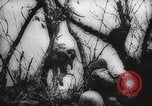 Image of Japanese prisoners Pacific Theater, 1945, second 56 stock footage video 65675066616