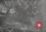 Standbild M20 Raketenwerfer United States USA, 1947, aus Sekunde 39 historischem Filmmaterial Videoclip 65675066619