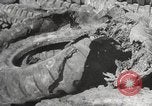Image of tire remover United States USA, 1947, second 22 stock footage video 65675066620