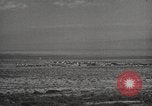 Image of rocket models New Mexico United States USA, 1947, second 11 stock footage video 65675066621
