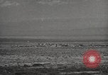 Image of rocket models New Mexico United States USA, 1947, second 12 stock footage video 65675066621