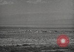 Image of rocket models New Mexico United States USA, 1947, second 14 stock footage video 65675066621