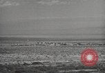 Image of rocket models New Mexico United States USA, 1947, second 16 stock footage video 65675066621