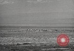Image of rocket models New Mexico United States USA, 1947, second 17 stock footage video 65675066621