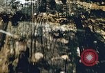 Immagine di American aviatori Corsica Italia, 1944, secondo 7 filmato di repertorio 65675066631