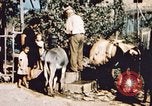 Immagine di American aviatori Corsica Italia, 1944, secondo 41 filmato di repertorio 65675066631
