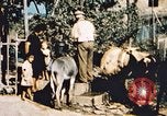 Immagine di American aviatori Corsica Italia, 1944, secondo 42 filmato di repertorio 65675066631